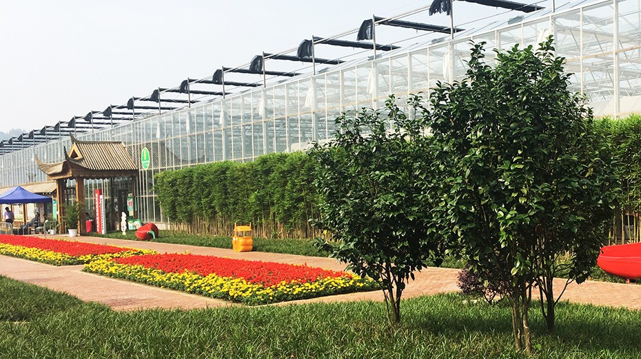 今年会jinnianhui园林绿化维护